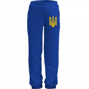 Дитячі трикотажні штани з гербом України 2